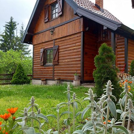Brvnare Na Brdu Villa Sljivovica  Eksteriør bilde